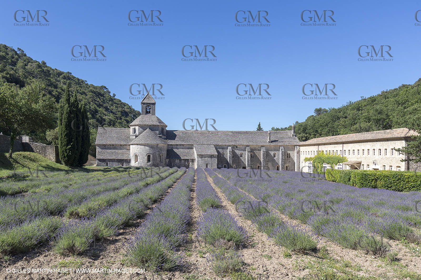 25 06 2018, Gordes (FRA,84), Abbaye de Sénanque