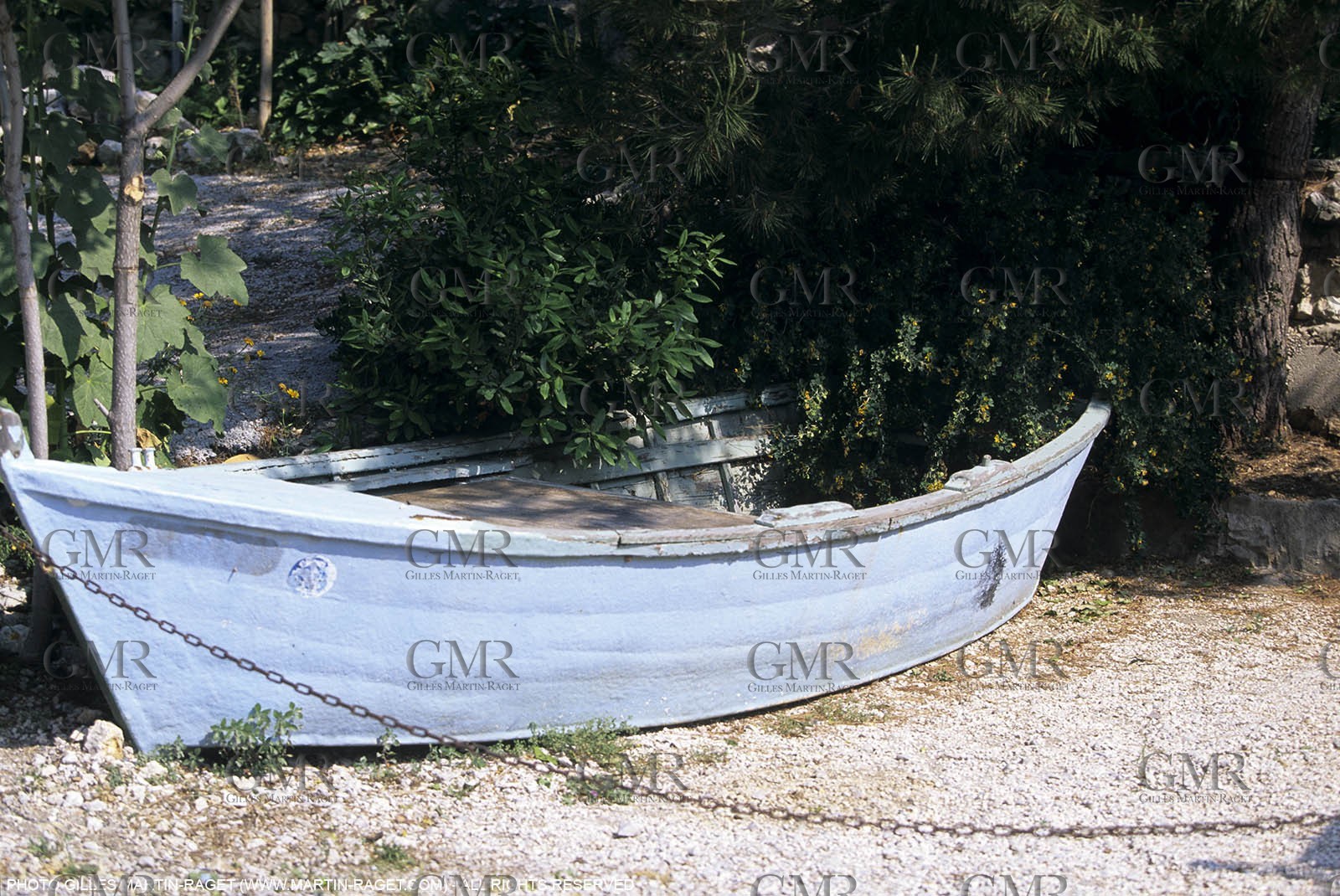 MORGIOU0943.jpg