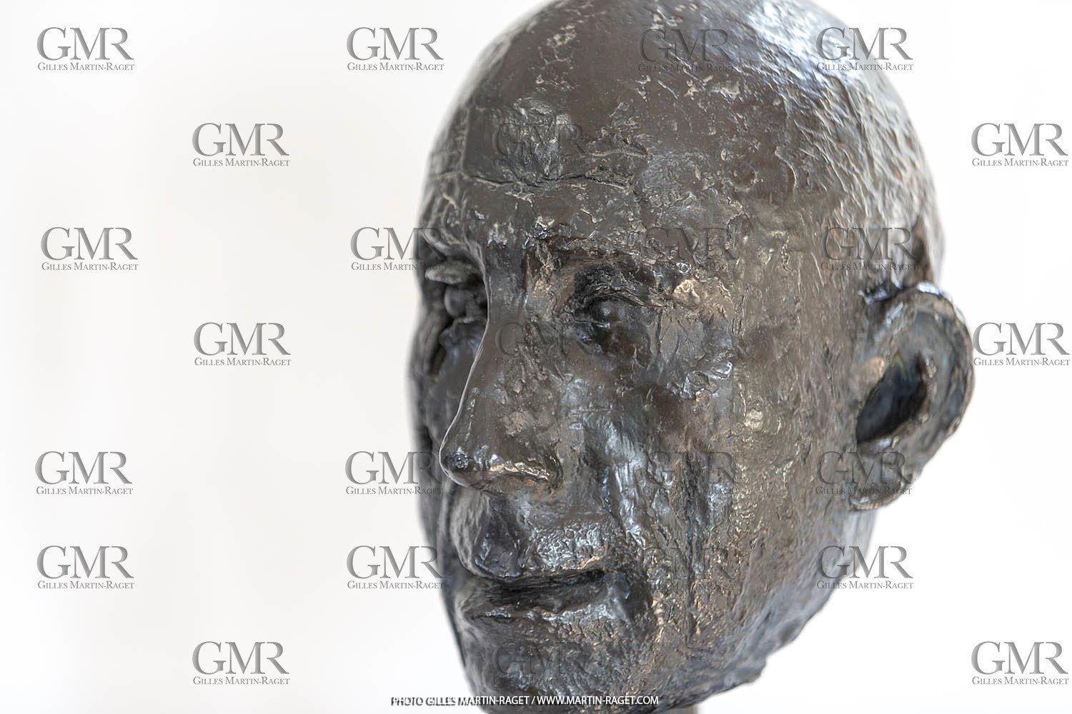 06 03 2016, Saint Etienne du Grès (FRA,13), Oeuvre de Germaine Richier, buste Le Guerrier, 1945, 5 8