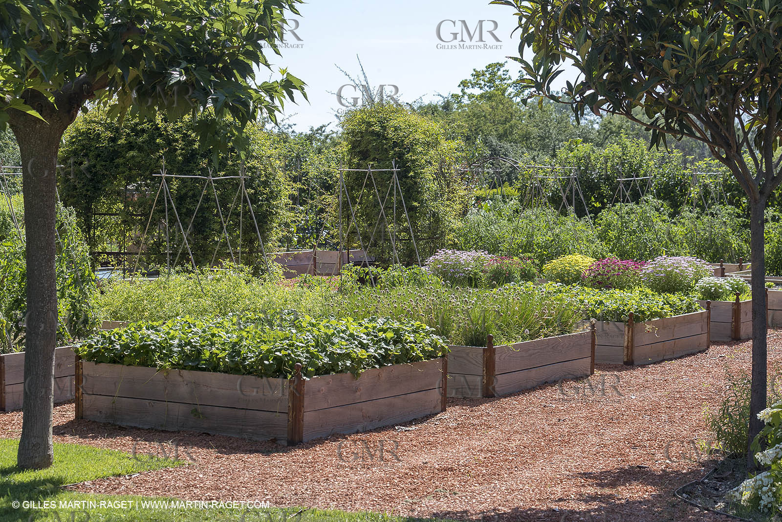 22 06 2018, Saint-Saturnin les Apts (FRA,84), Domaine des Andéols