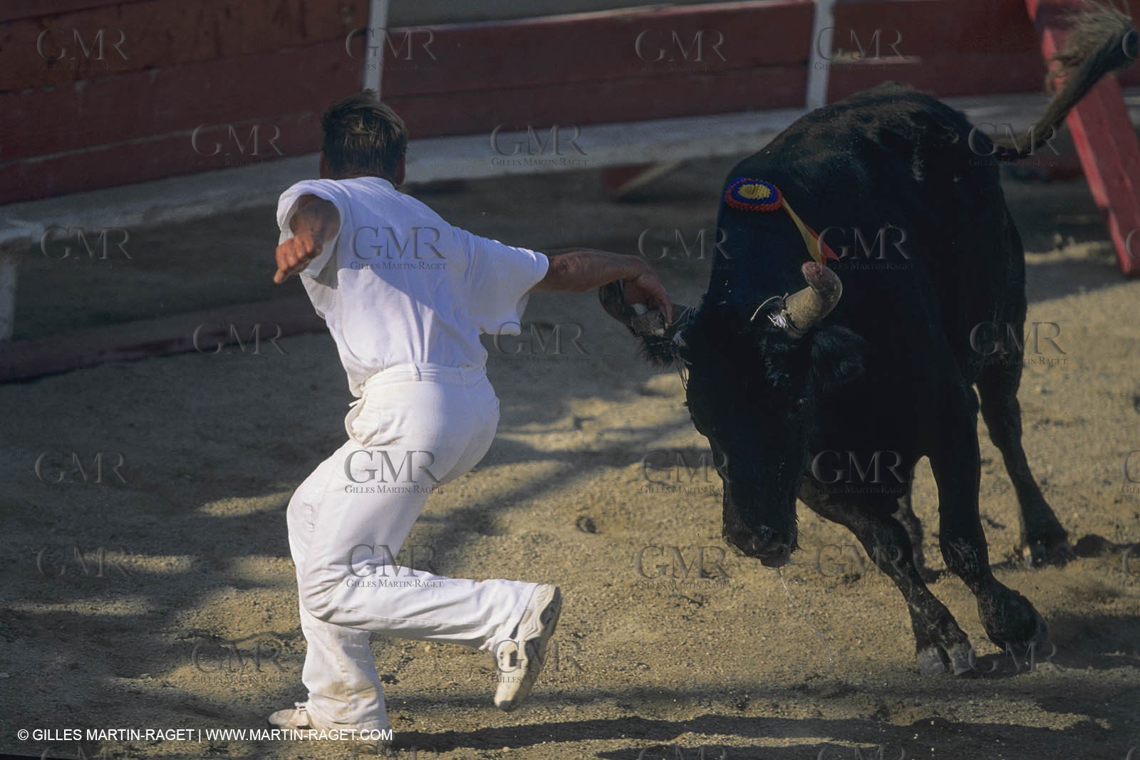 France, Provence, Camargue, course libre, bull games