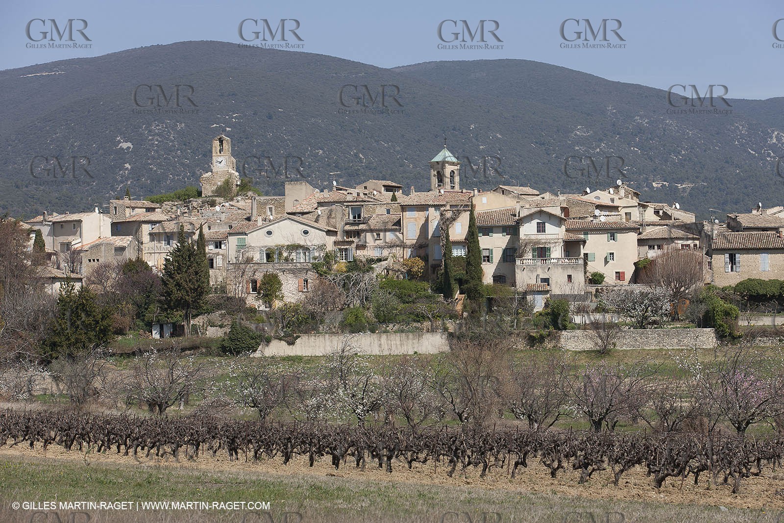 30 mars 2012 - Saint Saturnin les Apt (FRA, 84) - Cerisiers en fleurs