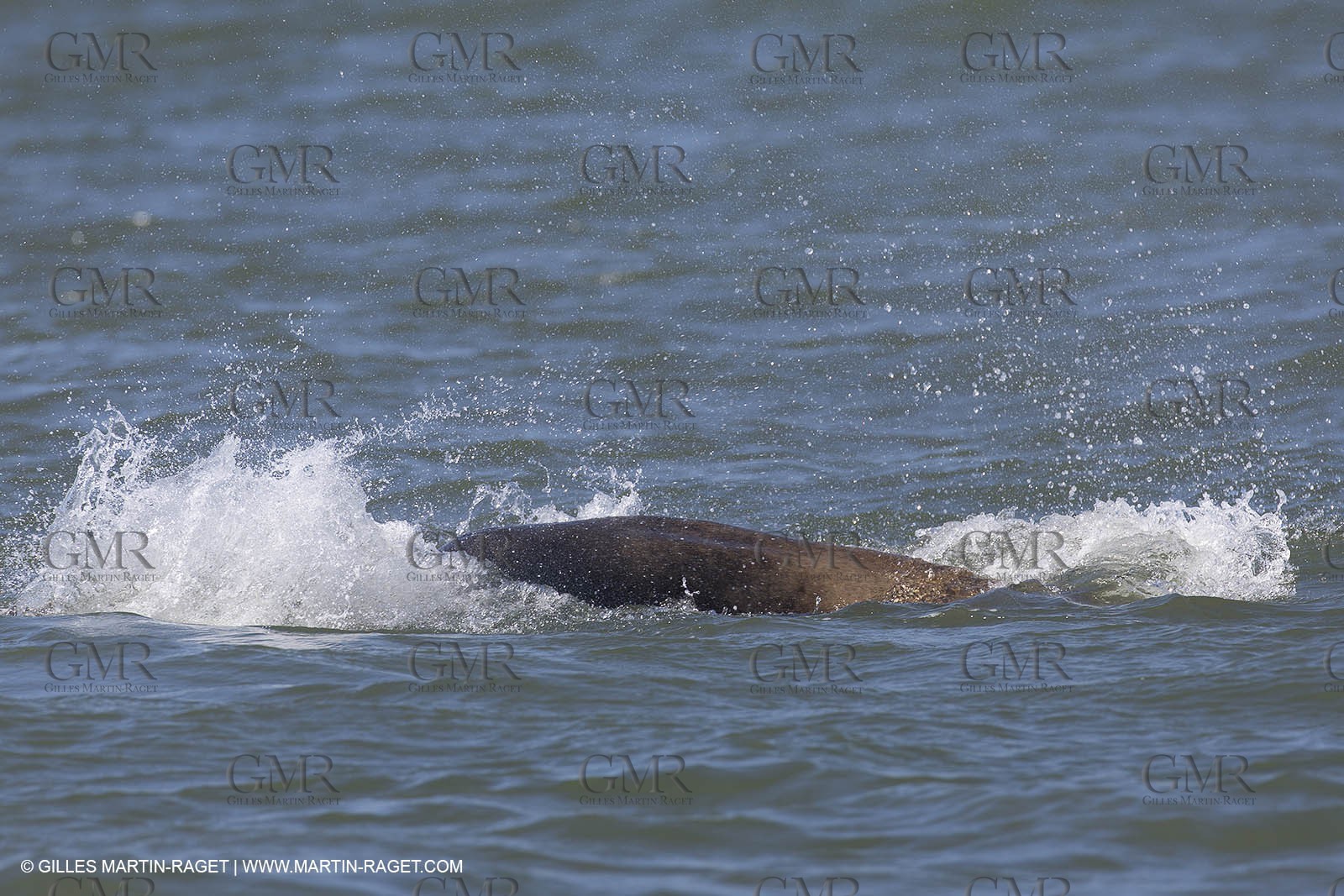 19 09 2013 - San Francisco (USA,CA) - 34th America's Cup - Final Match - Racing Day 9.