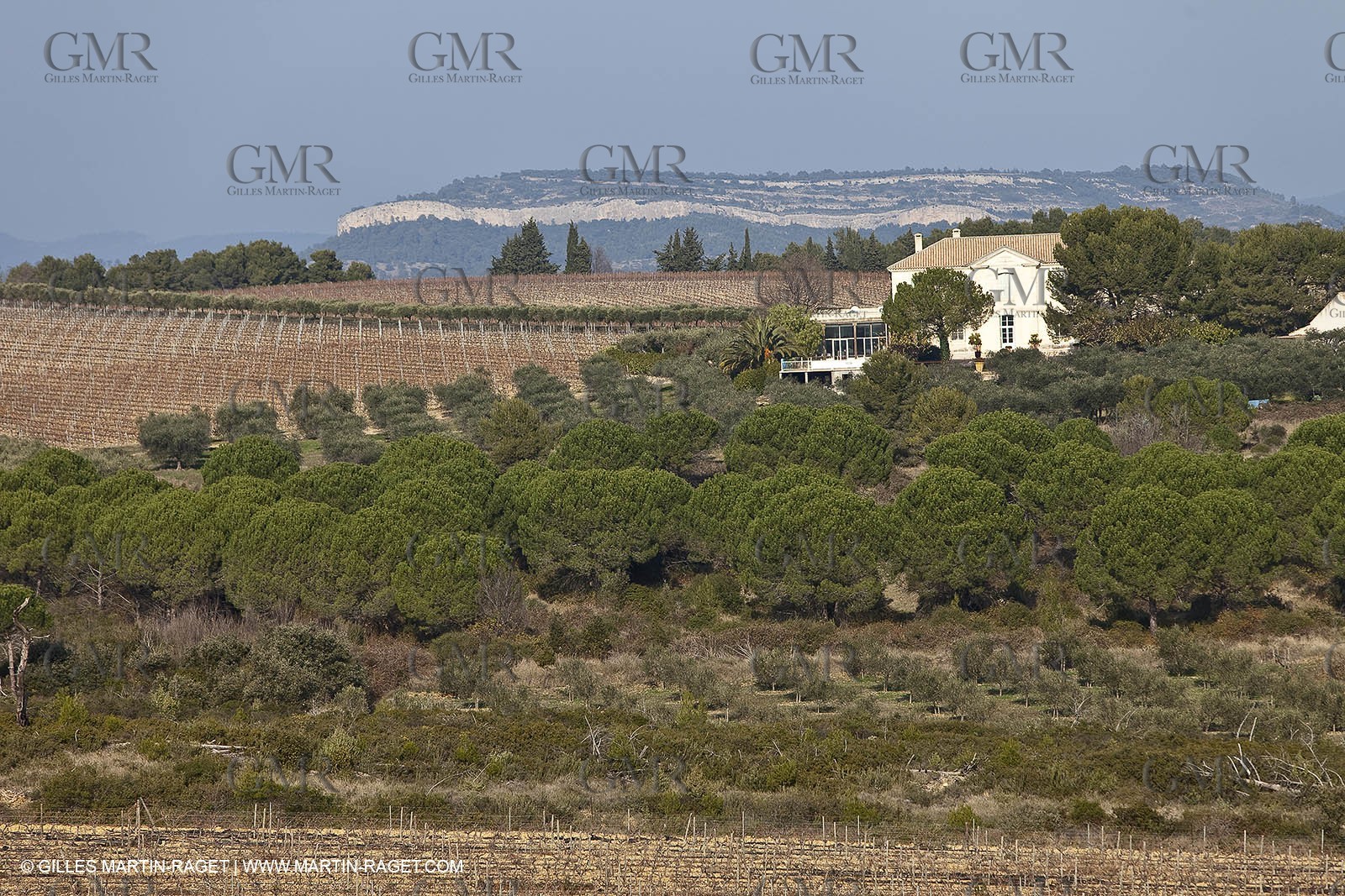 Saint Drézéry (FRA, 34), Domaine de Puech Haut