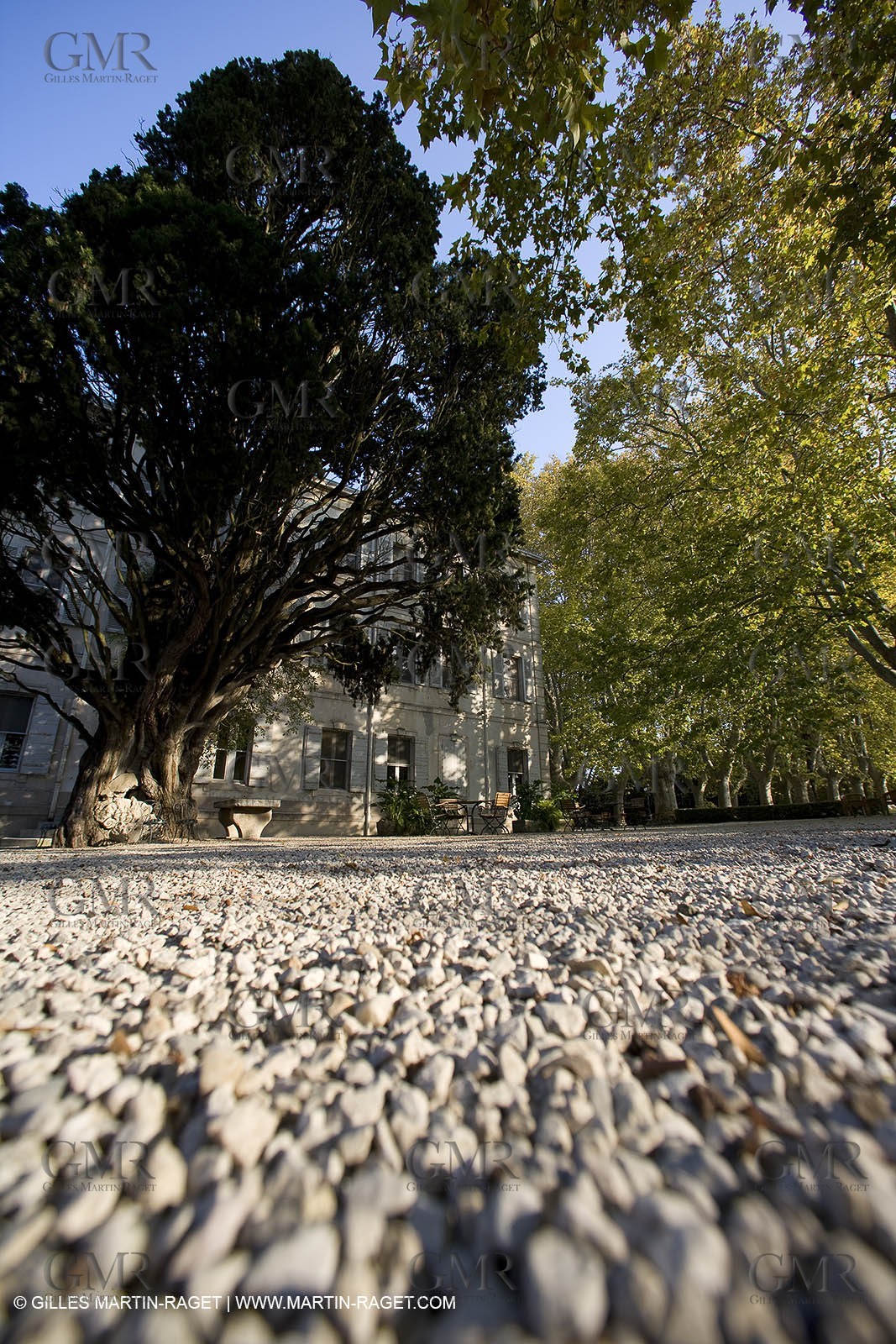 28 10 2007 - St Rémy de Provence (FRA,13) - Chateau des Alpilles