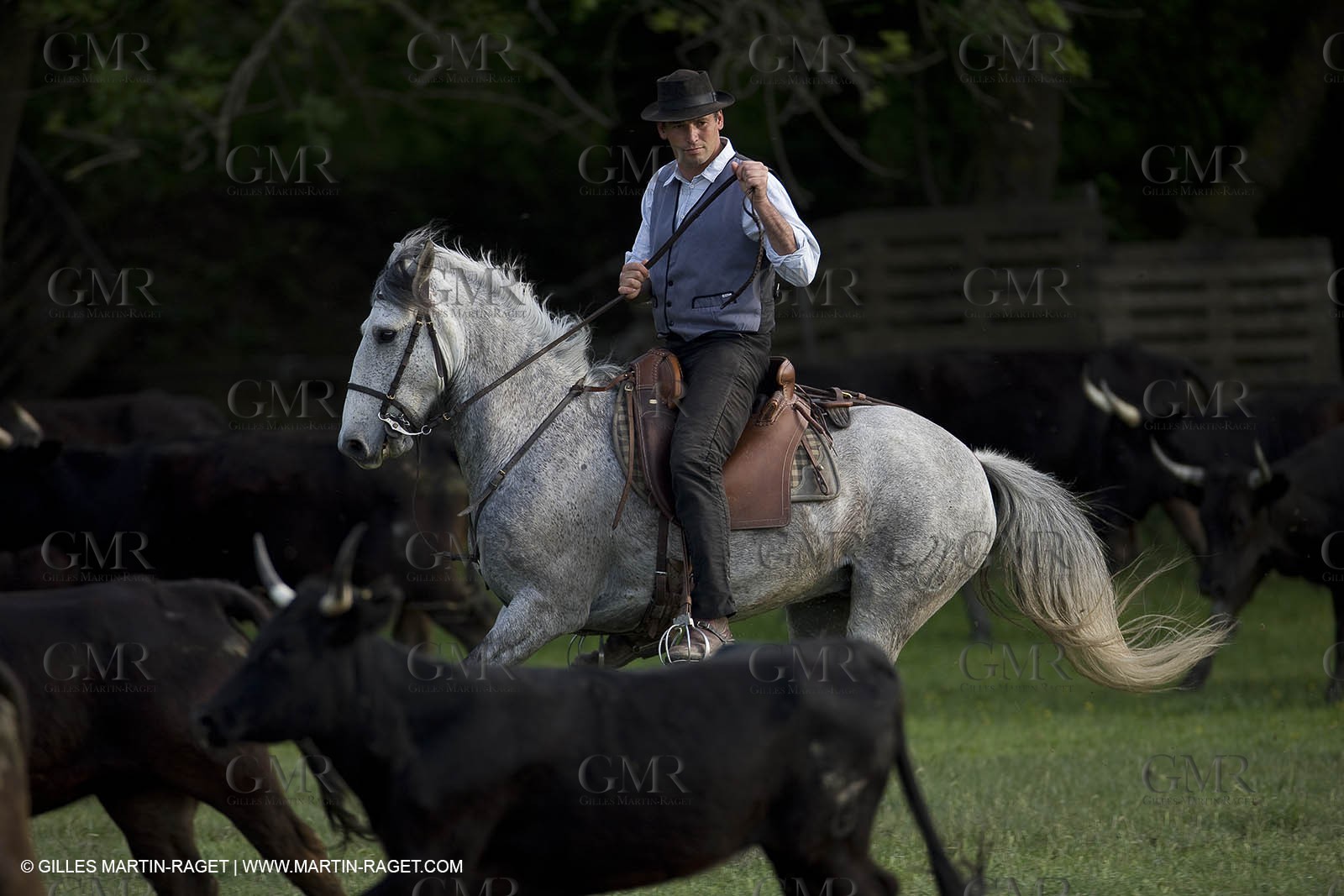 07 05 2008 - Le Cailar (FRA,30) - Stock work at Mas du Pont de Laute domain