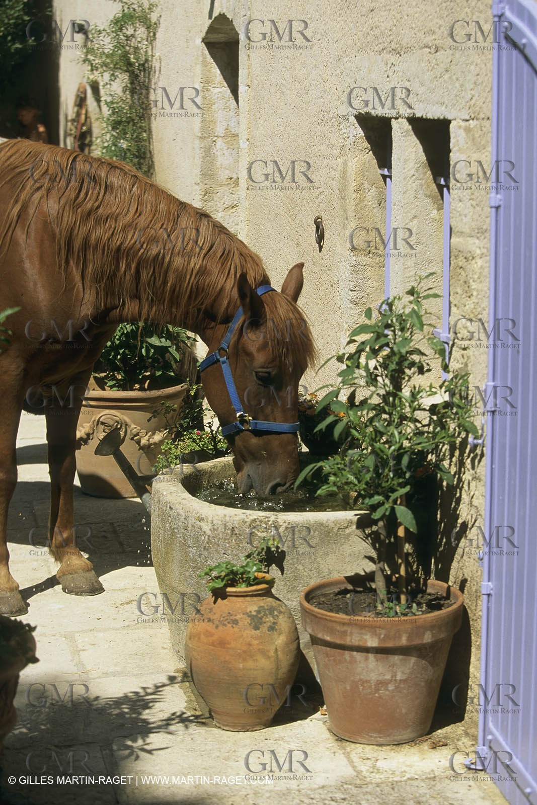 France, Provence, Mas, maison, propriétés, Vansorgues