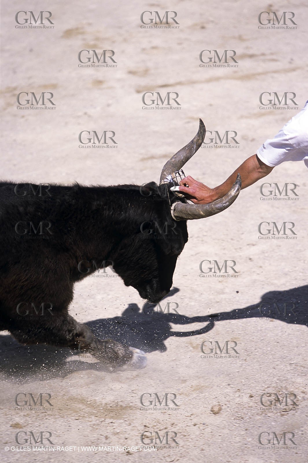 Gard, (FRA,30) - Course libre