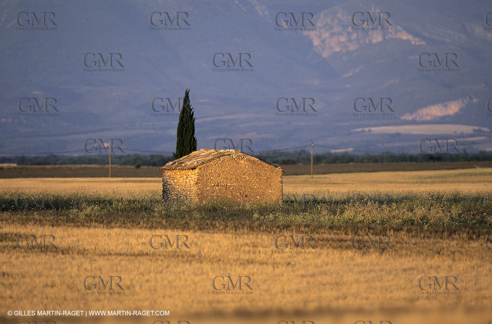 Valensole plateau - Alpes de Haute Provence