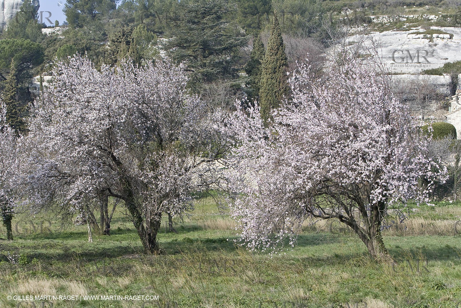 16 02 2008 - Les Baux de Provence (FRA, 13) - Alpilles hills landscapes