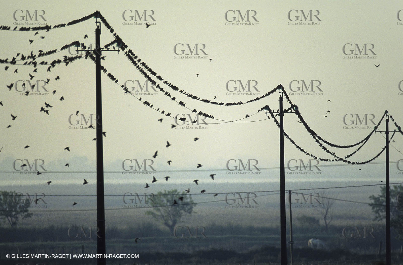 Paysages de Nîmes Métropole (FRA,30) -Costières
