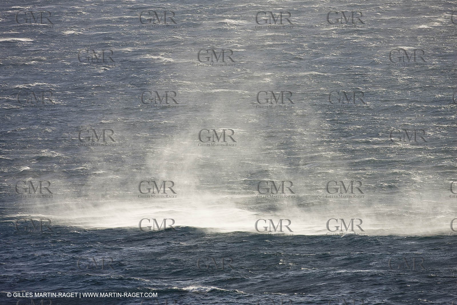 11 03 2009 - Marseille (FRA, 13) - Calanques - Marseilleveyre area