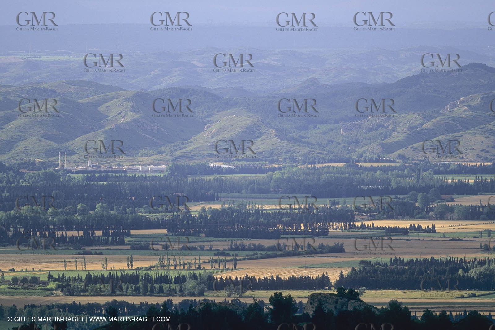 France, Provence, La Montagnette,