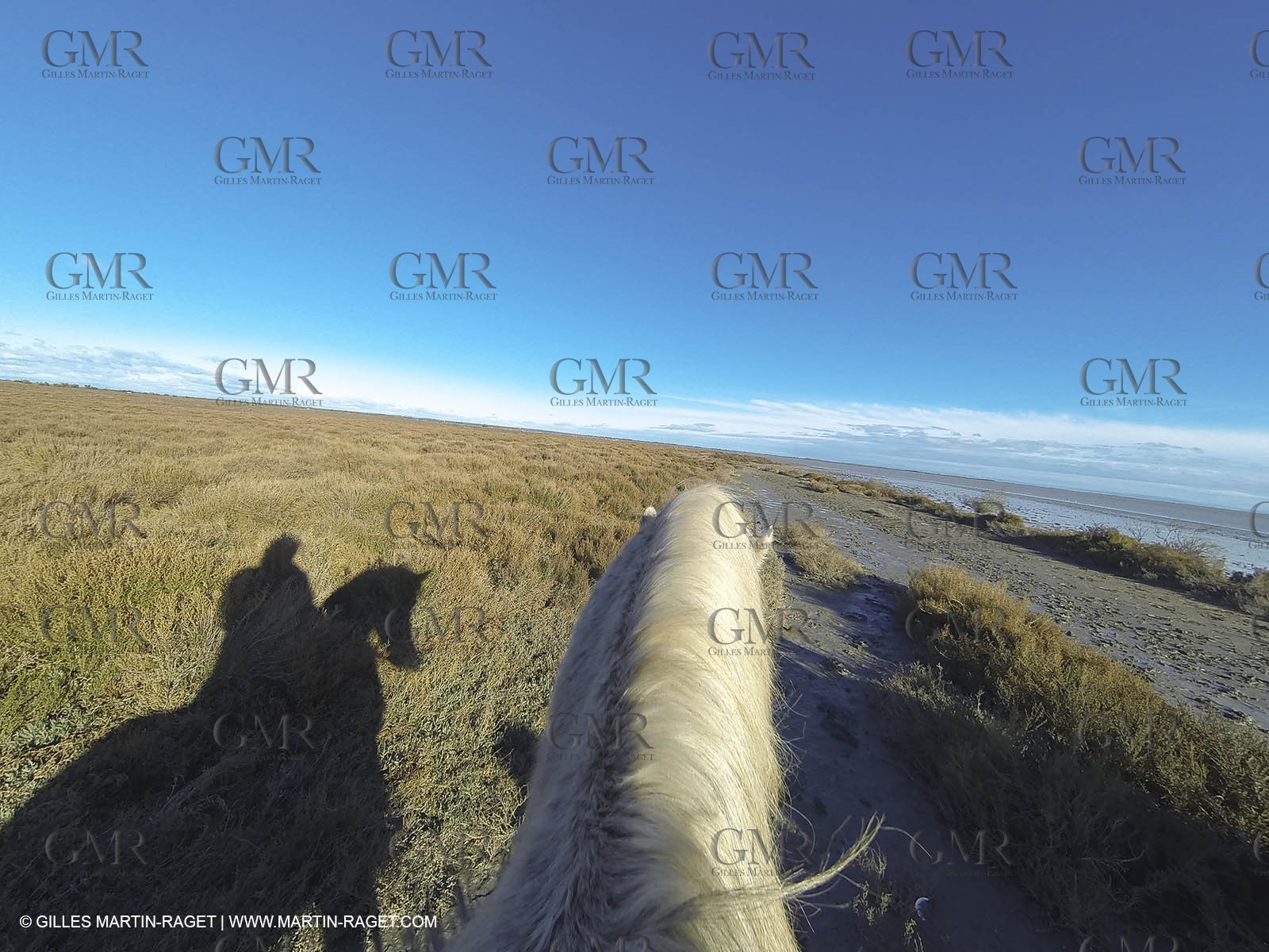 26 12 2013 - Les Saintes Maries de la Mer (FRA,13) - Horese riding at Cabanes de Cacharel