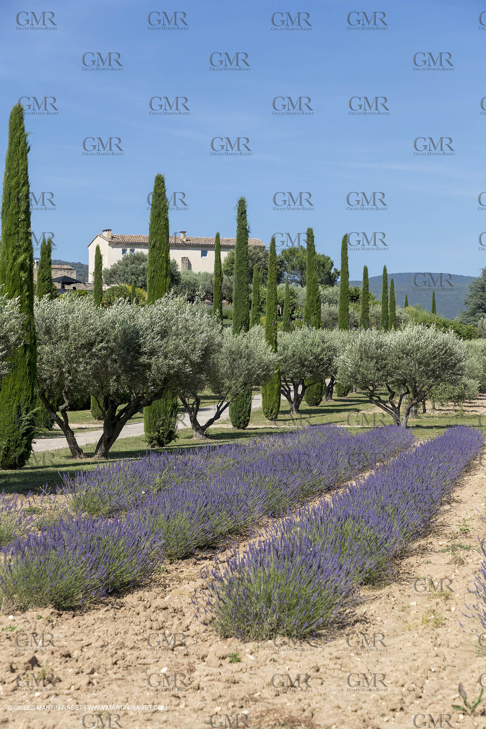 22 06 2018, Saint-Saturnin les Apts (FRA,84), Domaine des Andéols