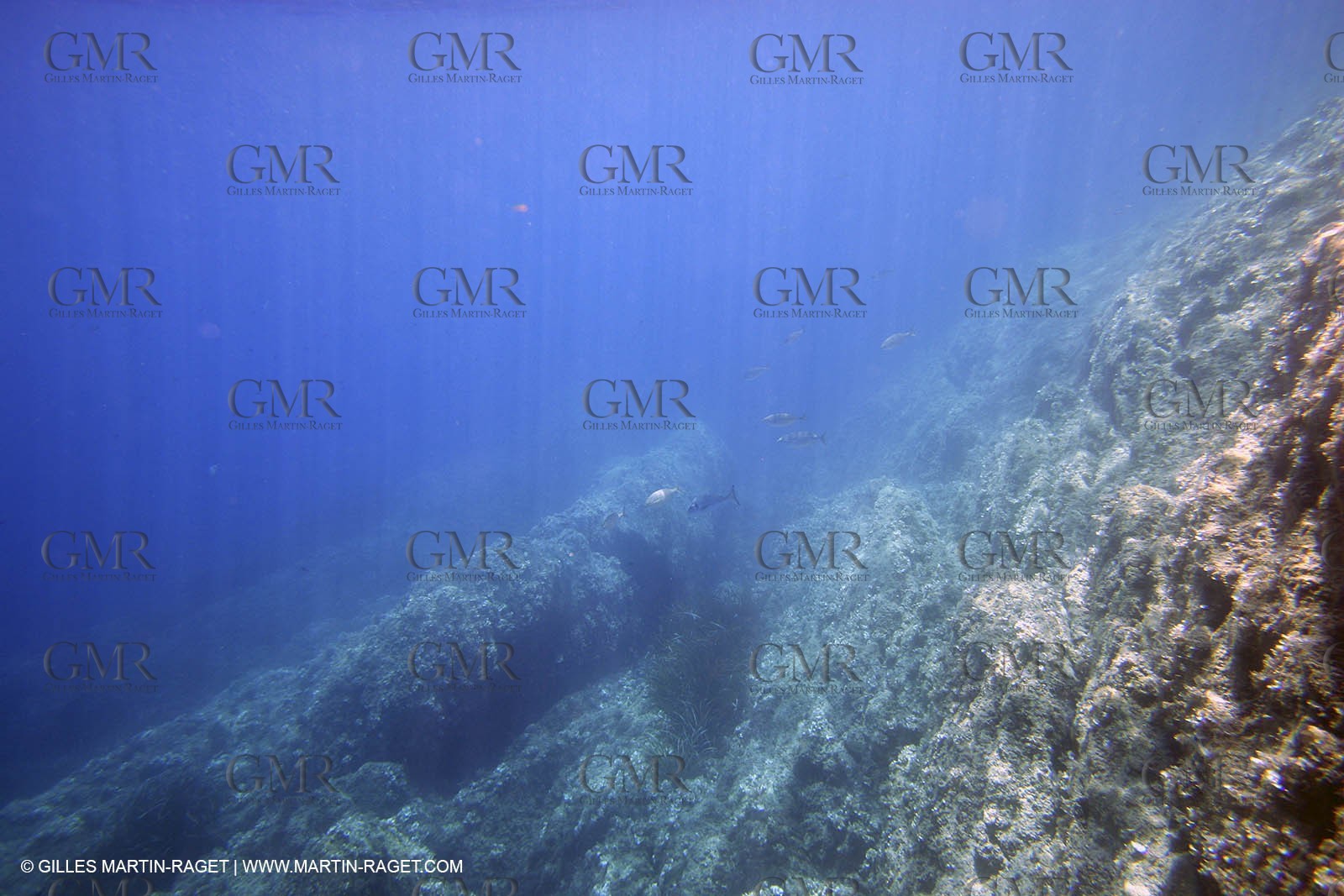 Snorkeling - Diving - 2005, Port Cros Island