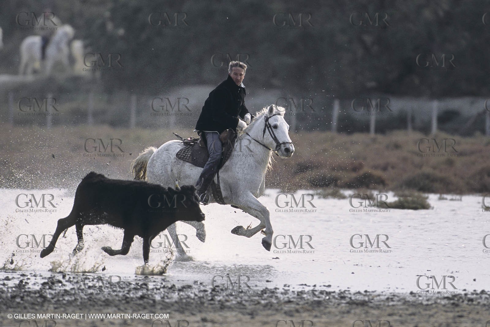 France, Provence, Camargue, Gardians de Camargue, métier, fêtes, élevage, tri