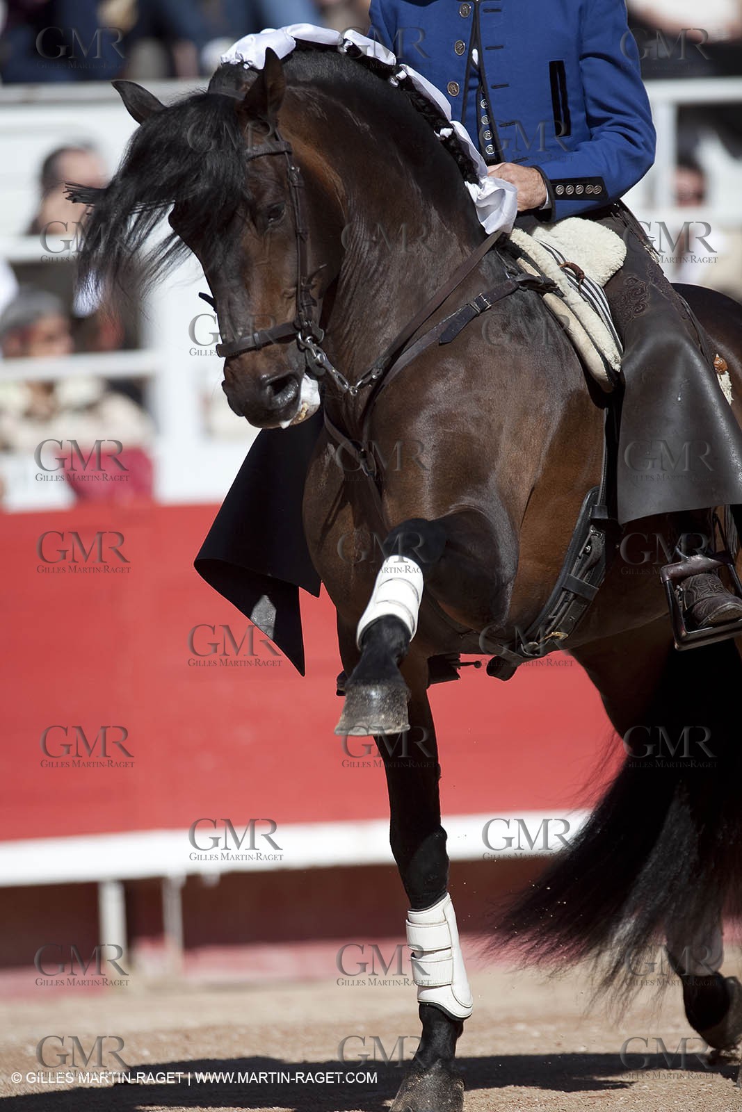 Monday 05 04 2010 - Arles (FRA,13) - Feria 2010 - -Corrida de rejon - Fermin Bohorquez - Pabloe Hemoso de Mendoza - Andy Cartagena - Toros Bohorquez