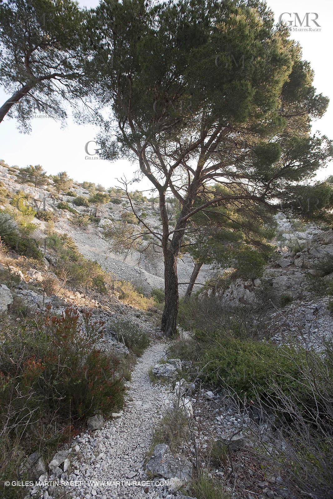 20 03 2009 - Marseille (FRA, 13) - Les Calanques - Vallon de l'oule