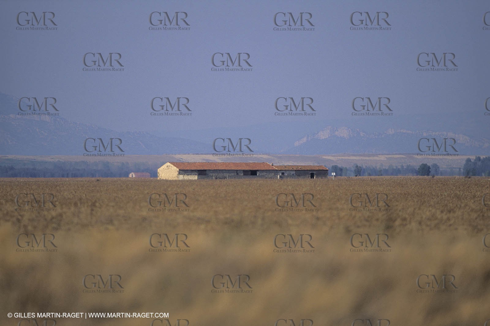 France, Provence, Plaine de la Crau