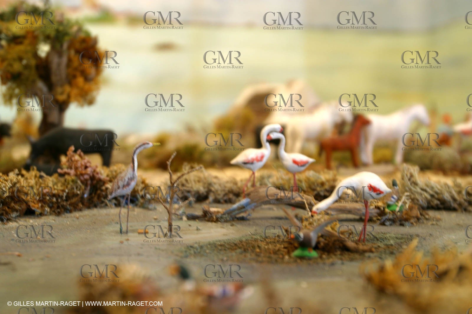 Great crib from les Saintes Maries de la mer (FRA, 13) for Christmas, December 2010