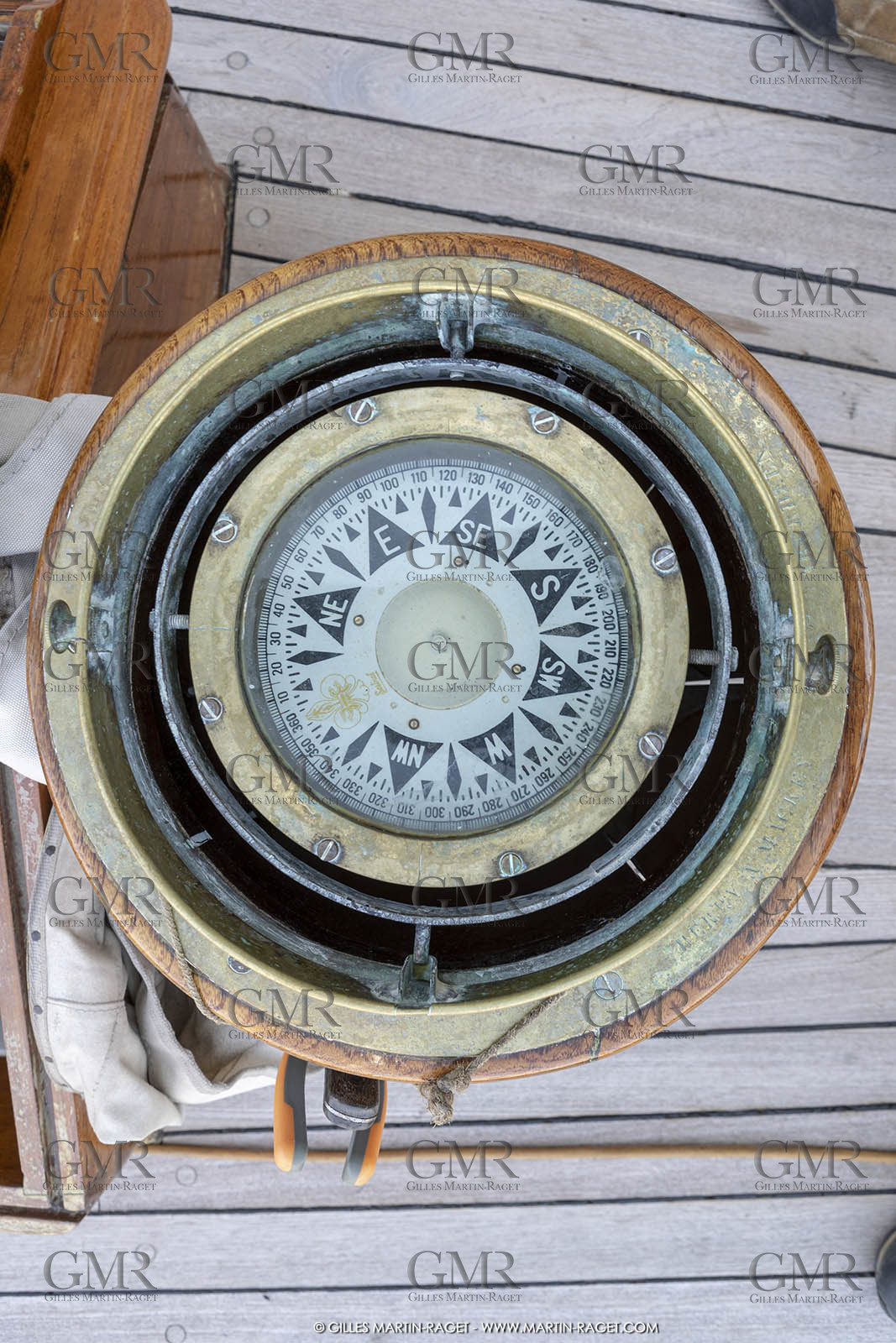 29 03 2019, Barcelona (Spain), Marigold