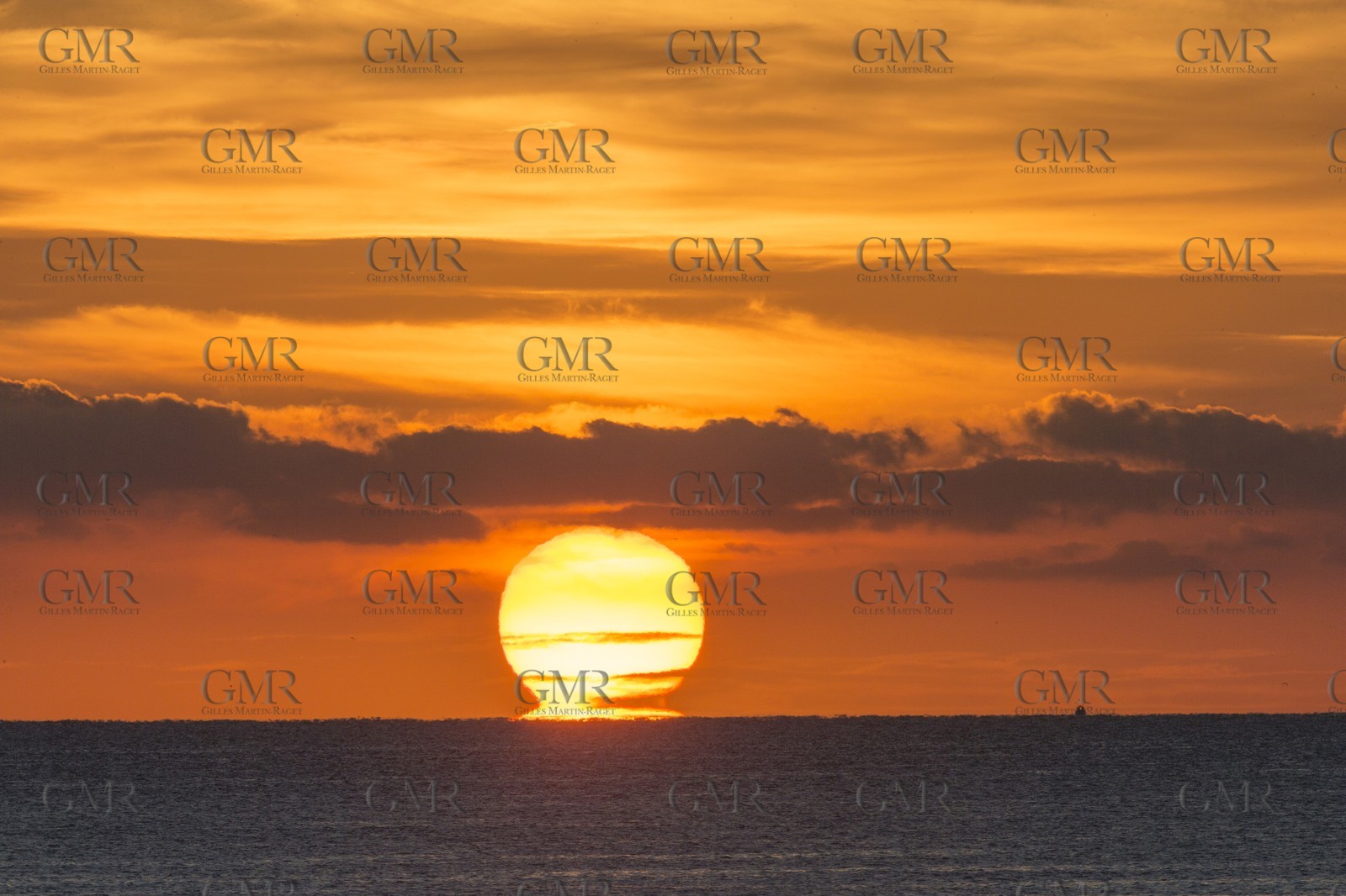 11 10 2014, Alicante (ESP), Volvo Ocean Race 2014-15, Team Alvimedica