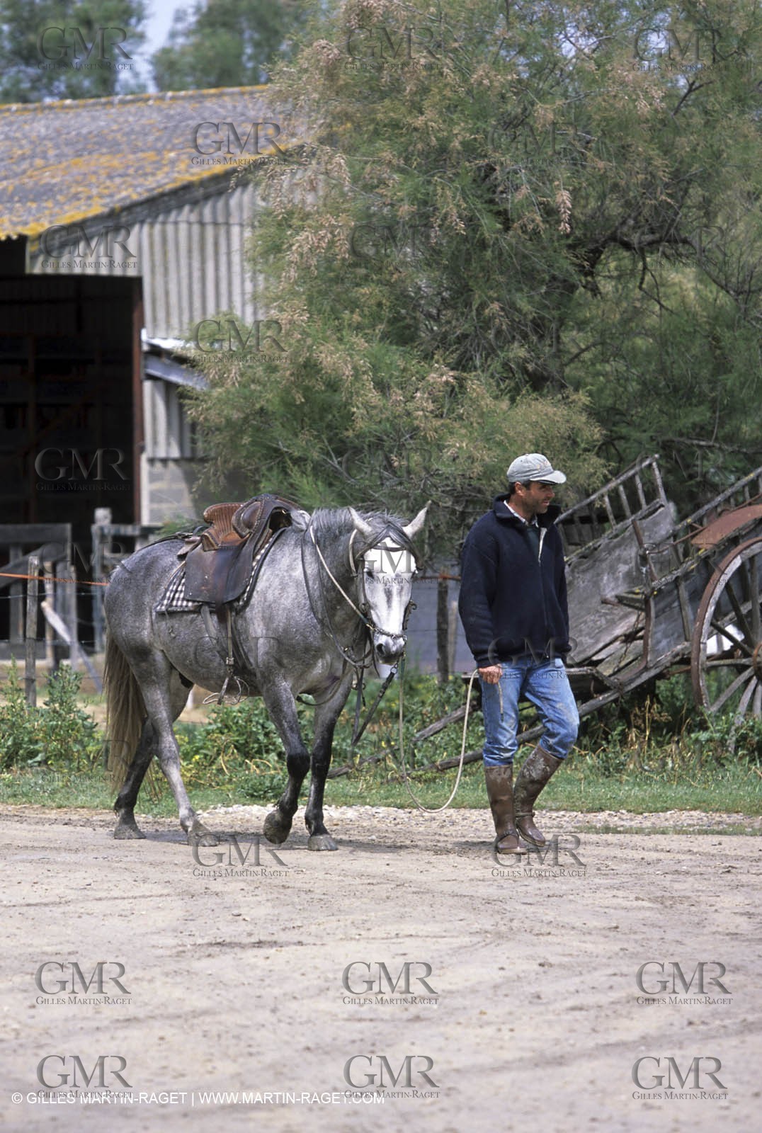 Arles - Camargue gardians (cow boys) at work