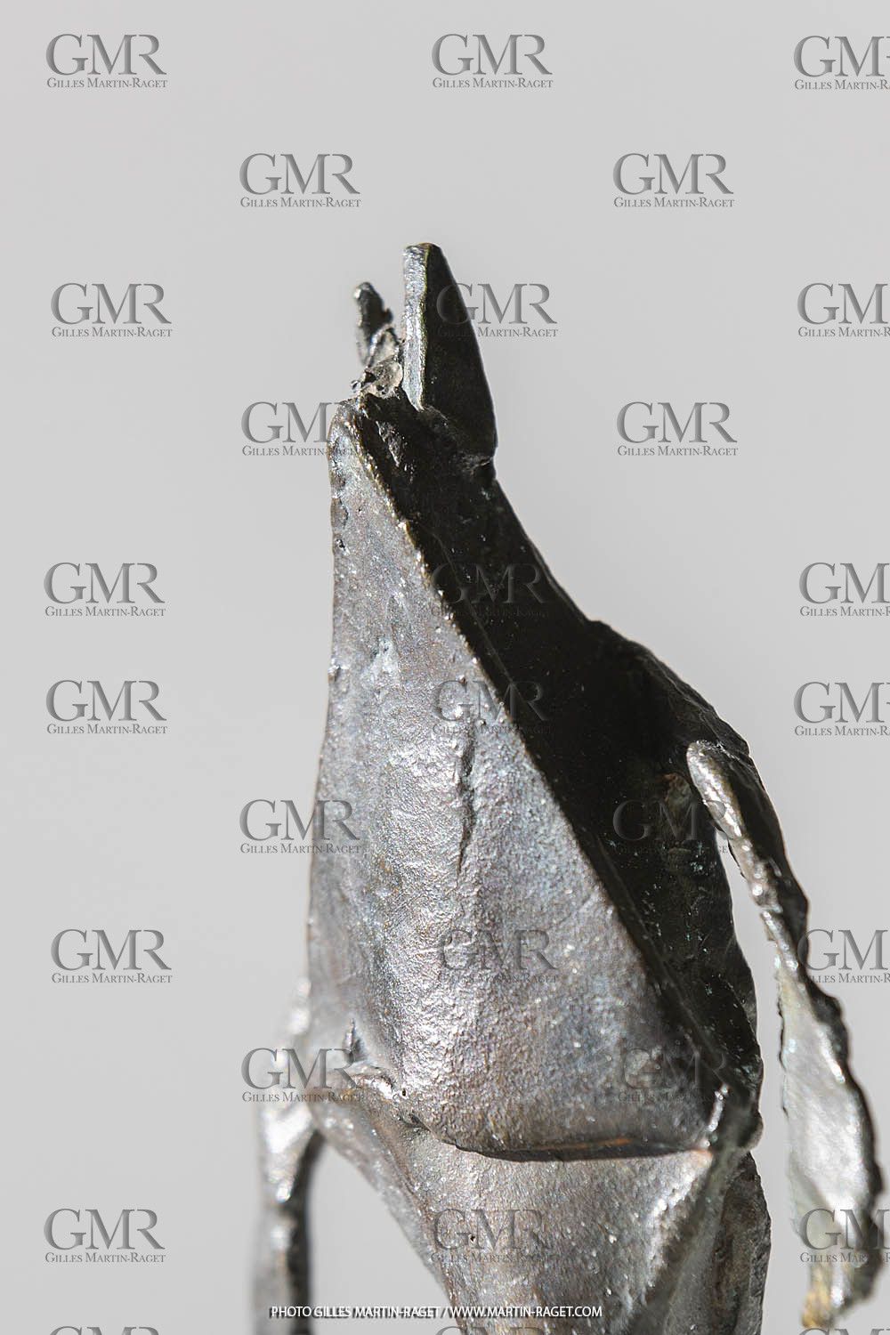 19 02 2020, Marseille (FRA), oeuvre de Germaine Richier, Chauve-souris 1965, Bronze patiné foncé, Numéroté 7 8, Fondeur L.Thinot, Paris, 15 x 11,2 x 7,5 cm, Collection Famille Germaine Richier
