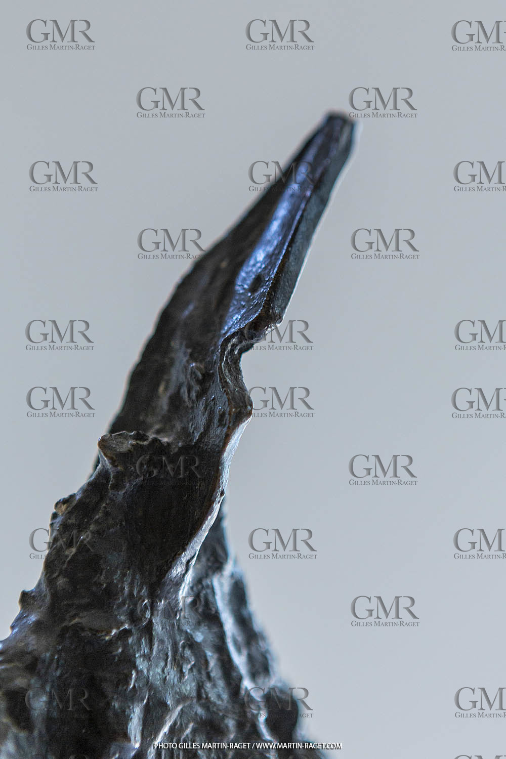 12 07 2020, St Rémy de Provence (FRA,13), Oeuvre de Germaine Richier, Guerrier n° 15 1955, Bronze patiné foncé, Numéroté 3 8, Fondeur : C. Valsuani, Paris, 27 x 9 x 12,5 cm, Collection famille Germaine Richier