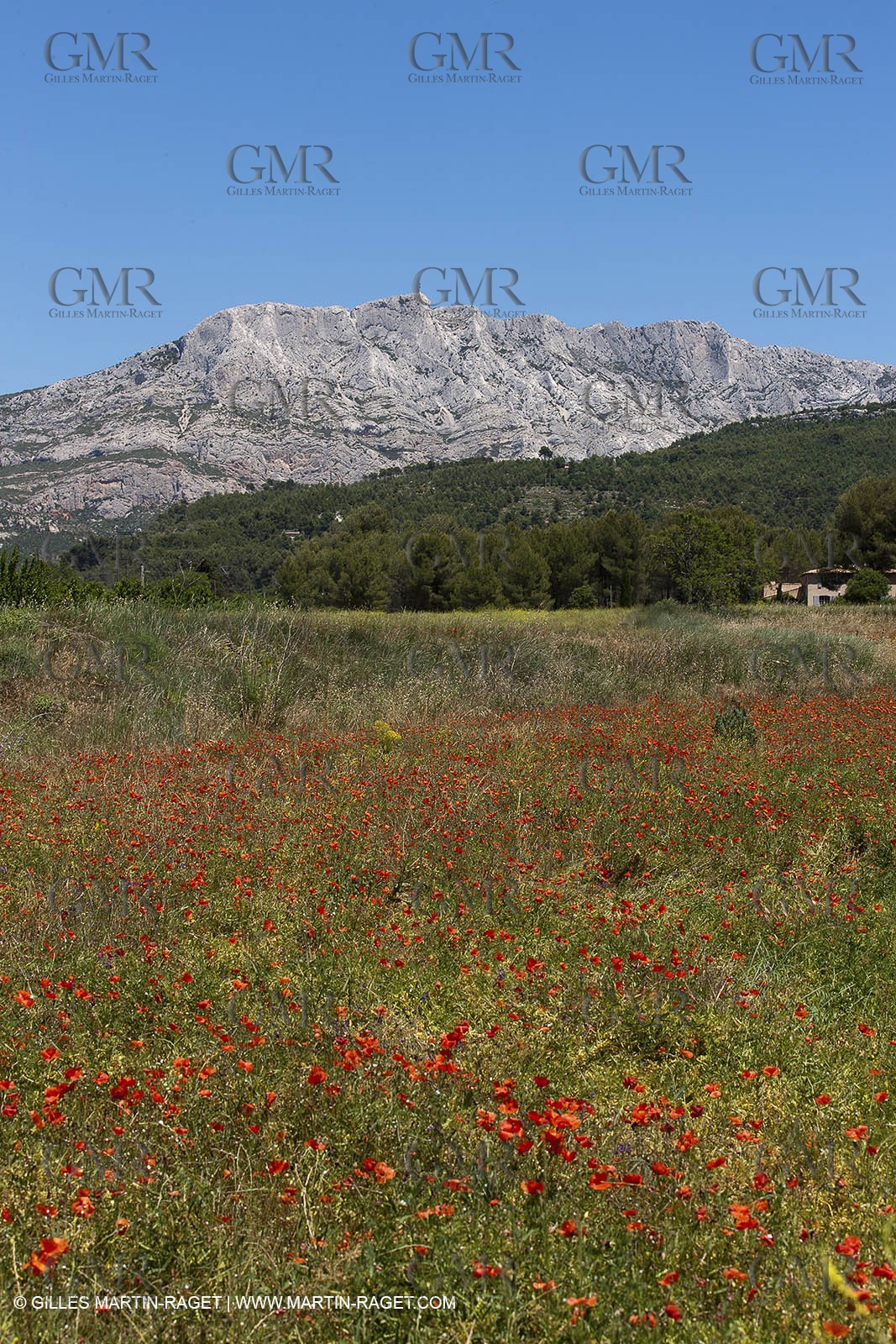 09 06 2012 - Pays d'Aix en Provence (FRA,13) - Sainte Victoire mountain
