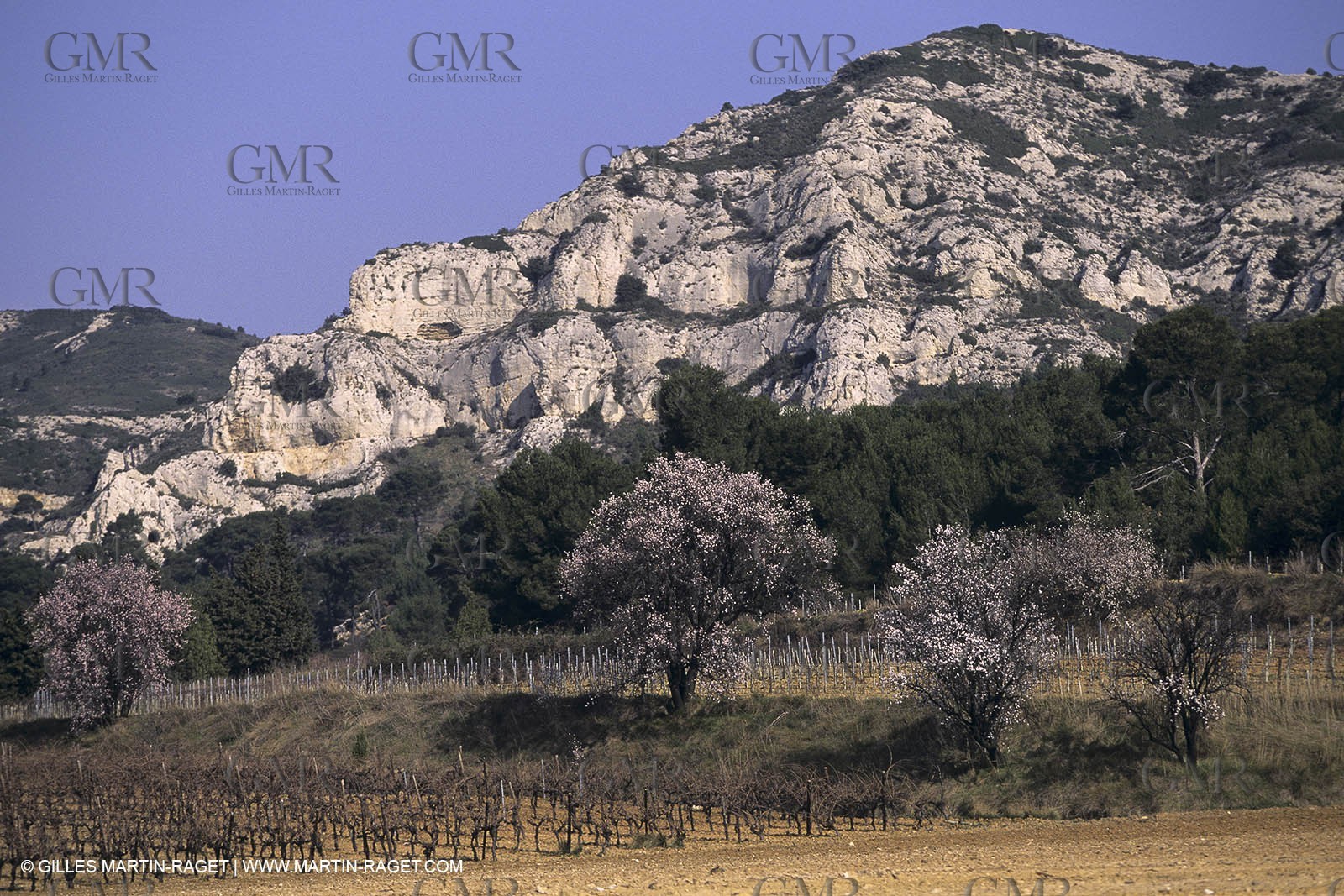 ALPILLES0016.jpg