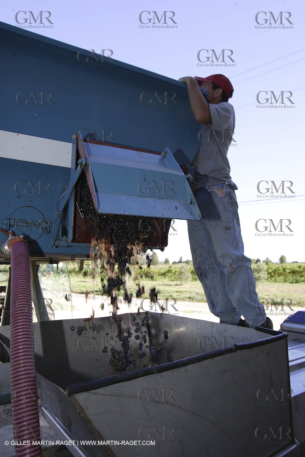 Harvest - D'or et de Gueule castle