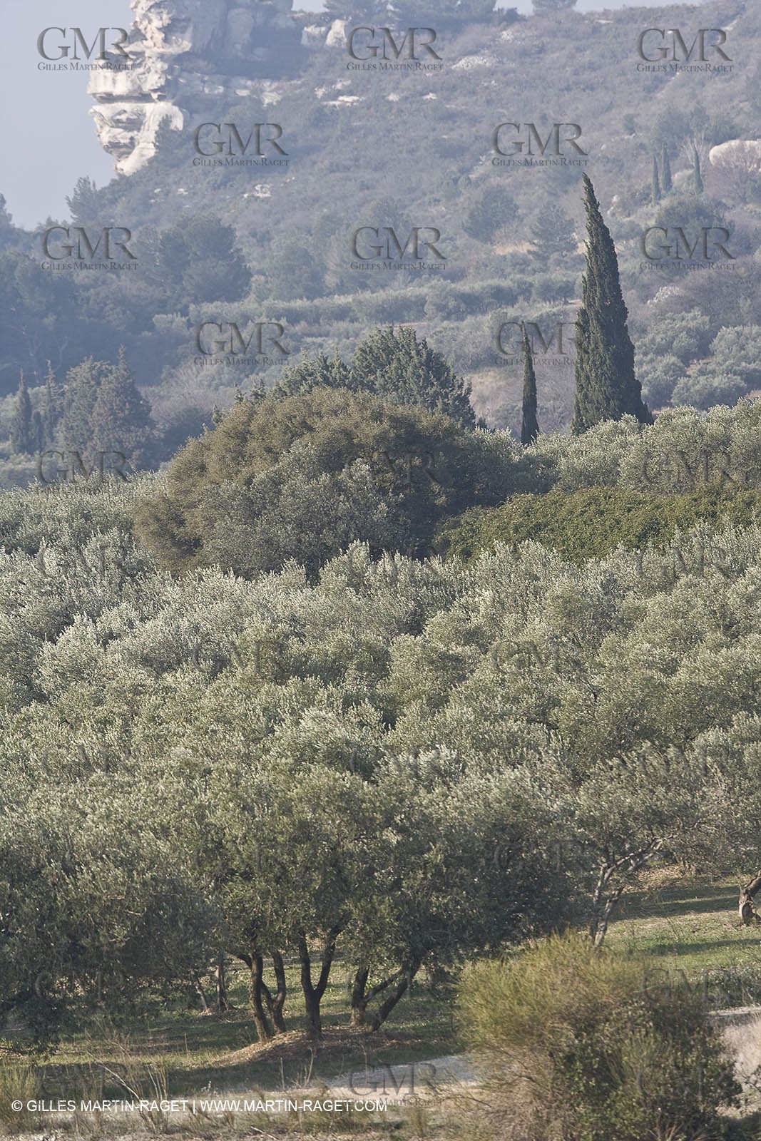 16 02 2008 - Les Baux de Provence (FRA, 13) - Alpilles hills landscapes