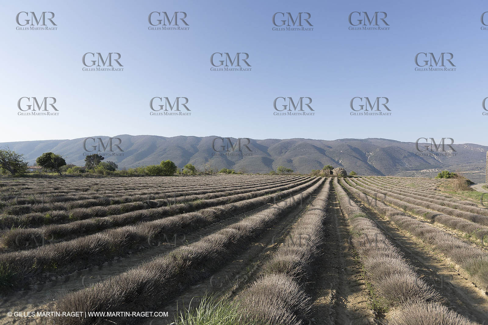 19 04 2018, Saint Martin de Castillon (FRA,84)