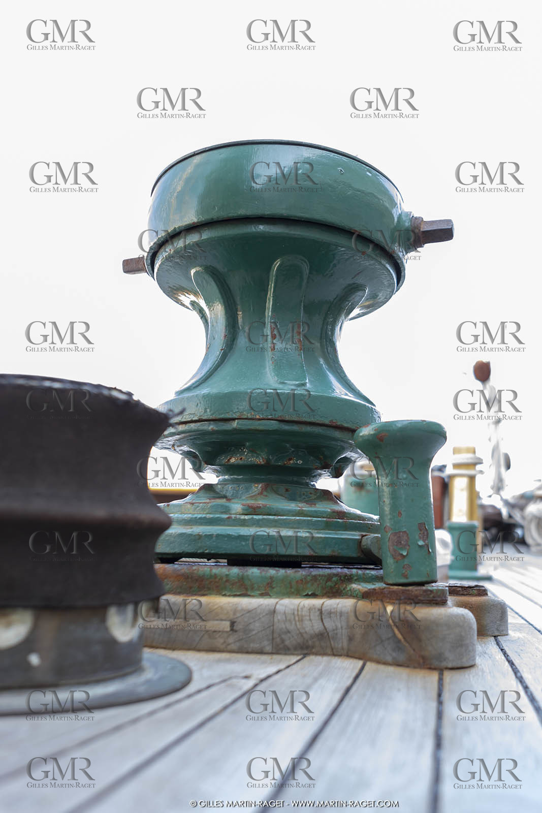 29 03 2019, Barcelona (Spain), Marigold