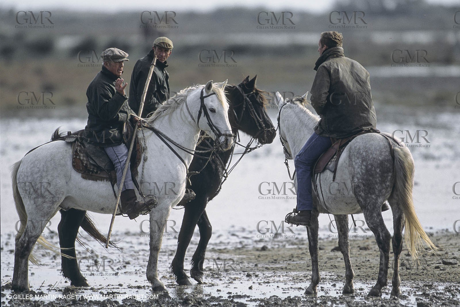 France, Provence, Camargue, Gardians de Camargue, métier, fêtes, élevage, tri