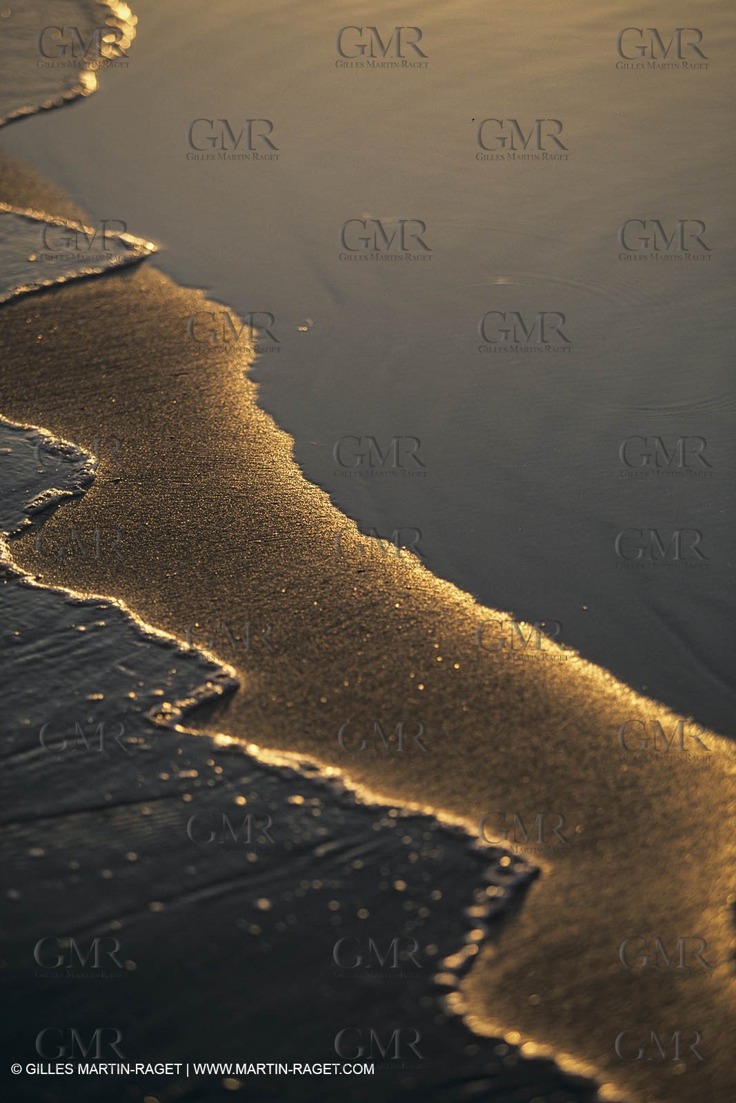 France, Provence, Camargue, Nature, plage, sable