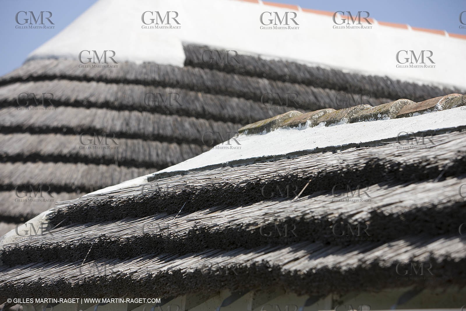 01 07 2008 - Les Saintes Maries de la mer (FRA, 13) - gardians cants