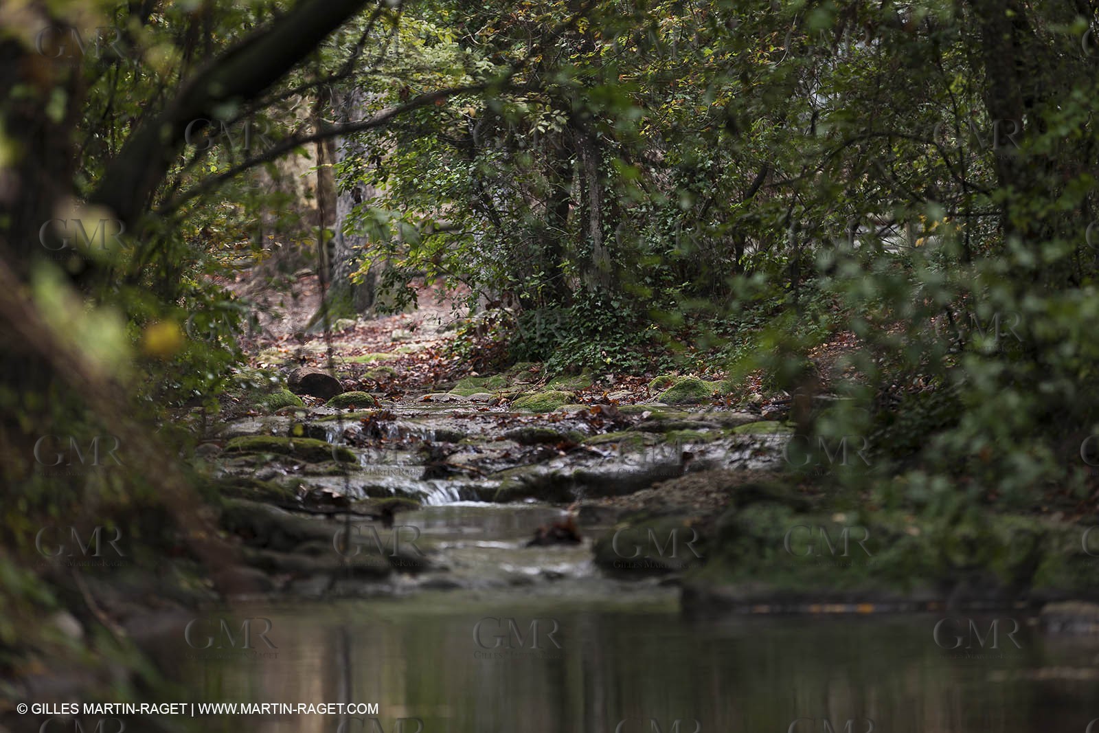 23 10 2012 - Gemenos (FRA) - Parc Départemental de la vallée de Saint Pons