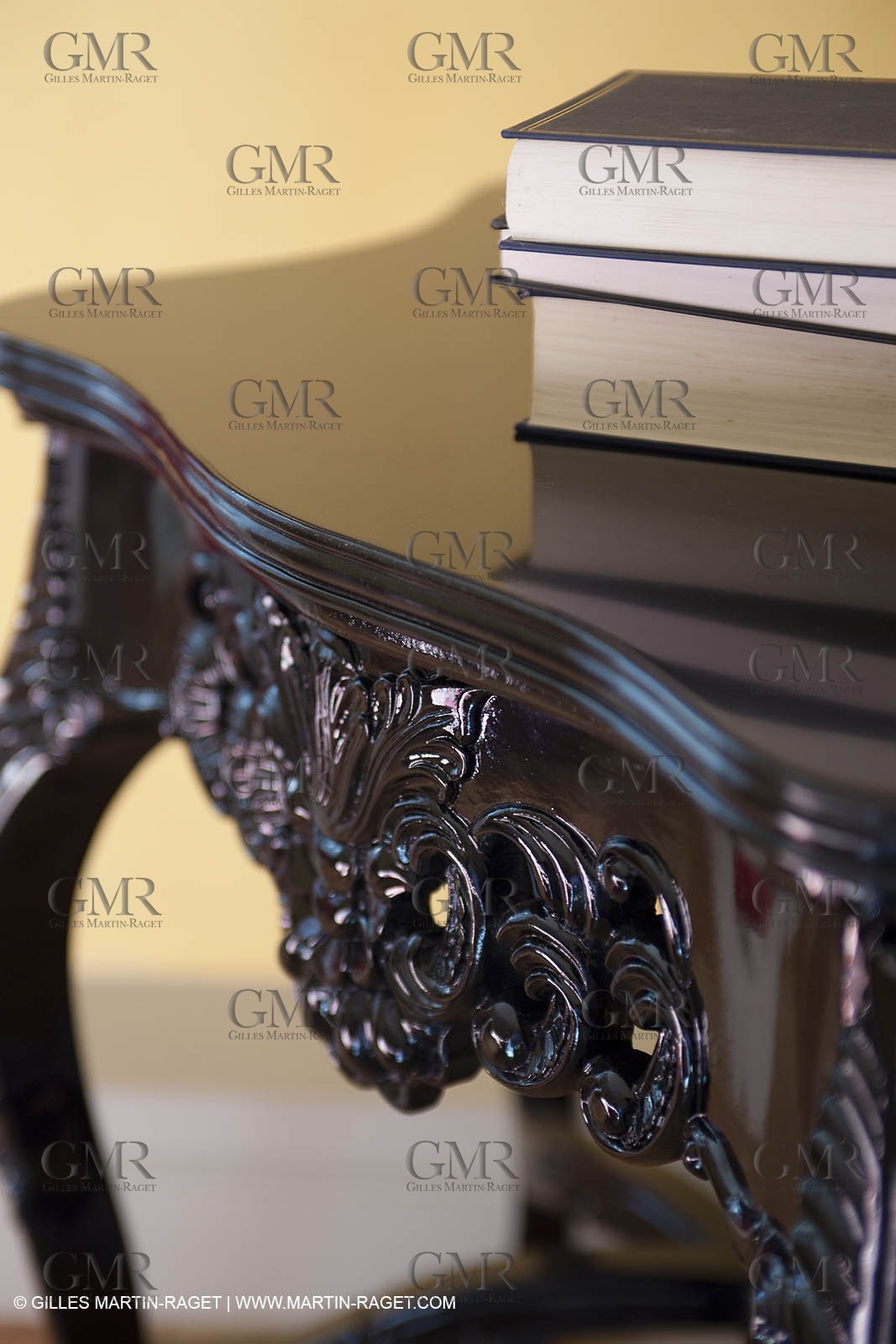 22 12 2008-Carcès (FRA,83) - Domaine du Lac