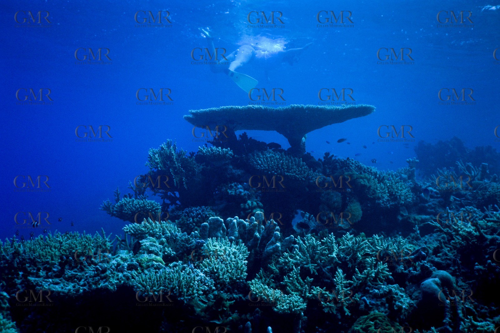 Cruising destination - Maldives islands -