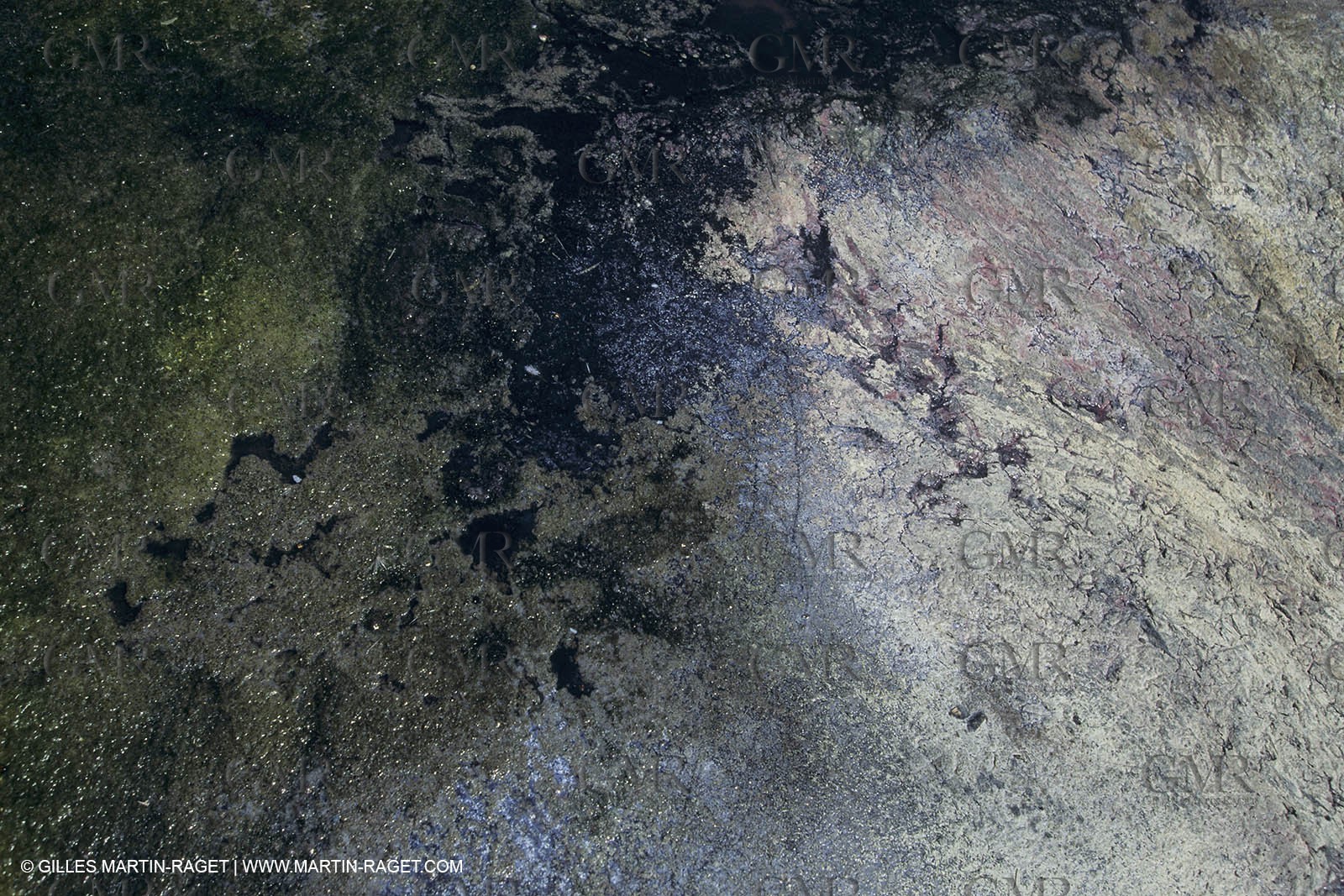 France, Provence, Camargue, Nature, plage, sable