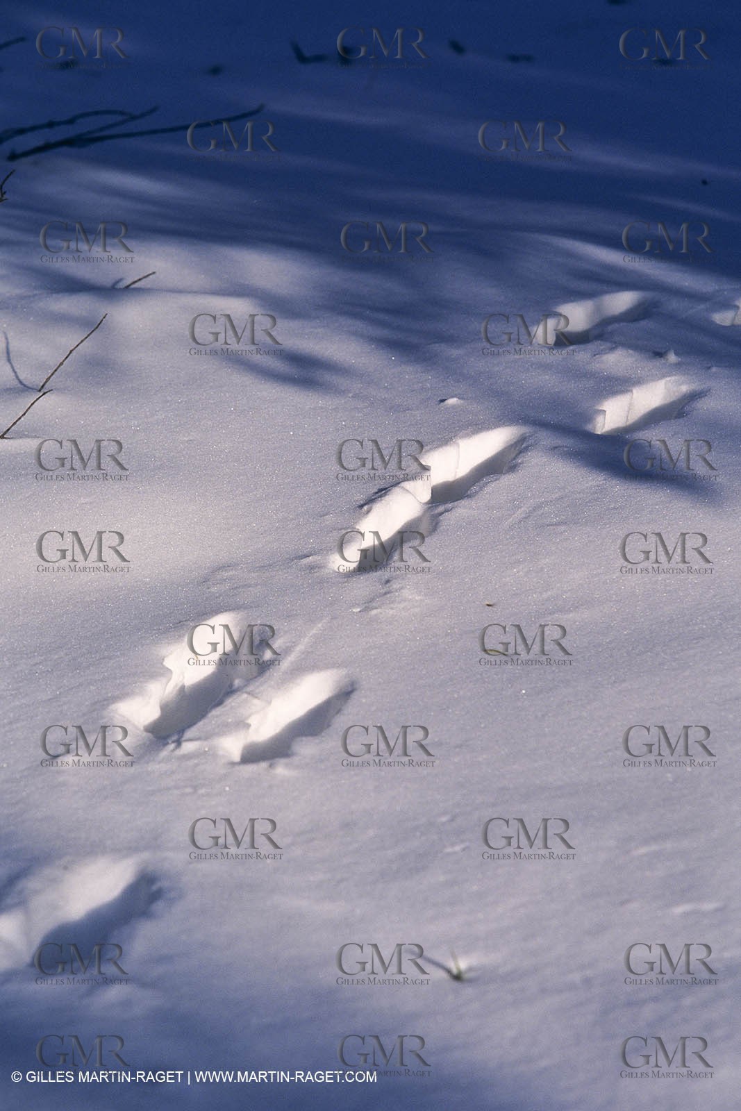 Provence under snow - Baux ed Provence