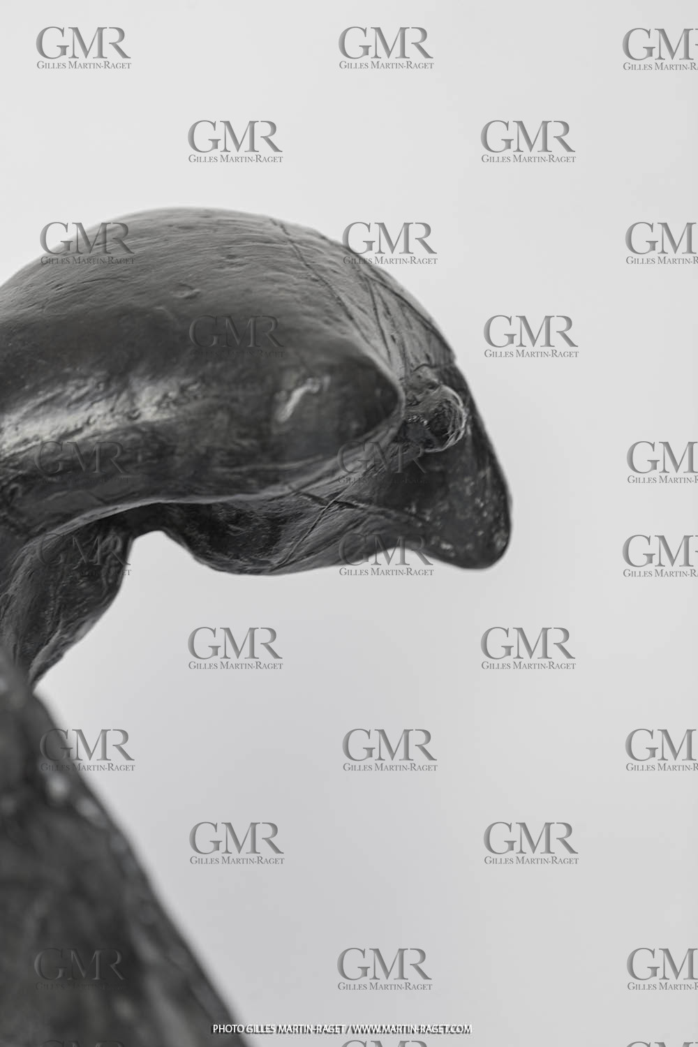 Oeuvre de Germaine Richier, L'Homme de la nuit, grand,