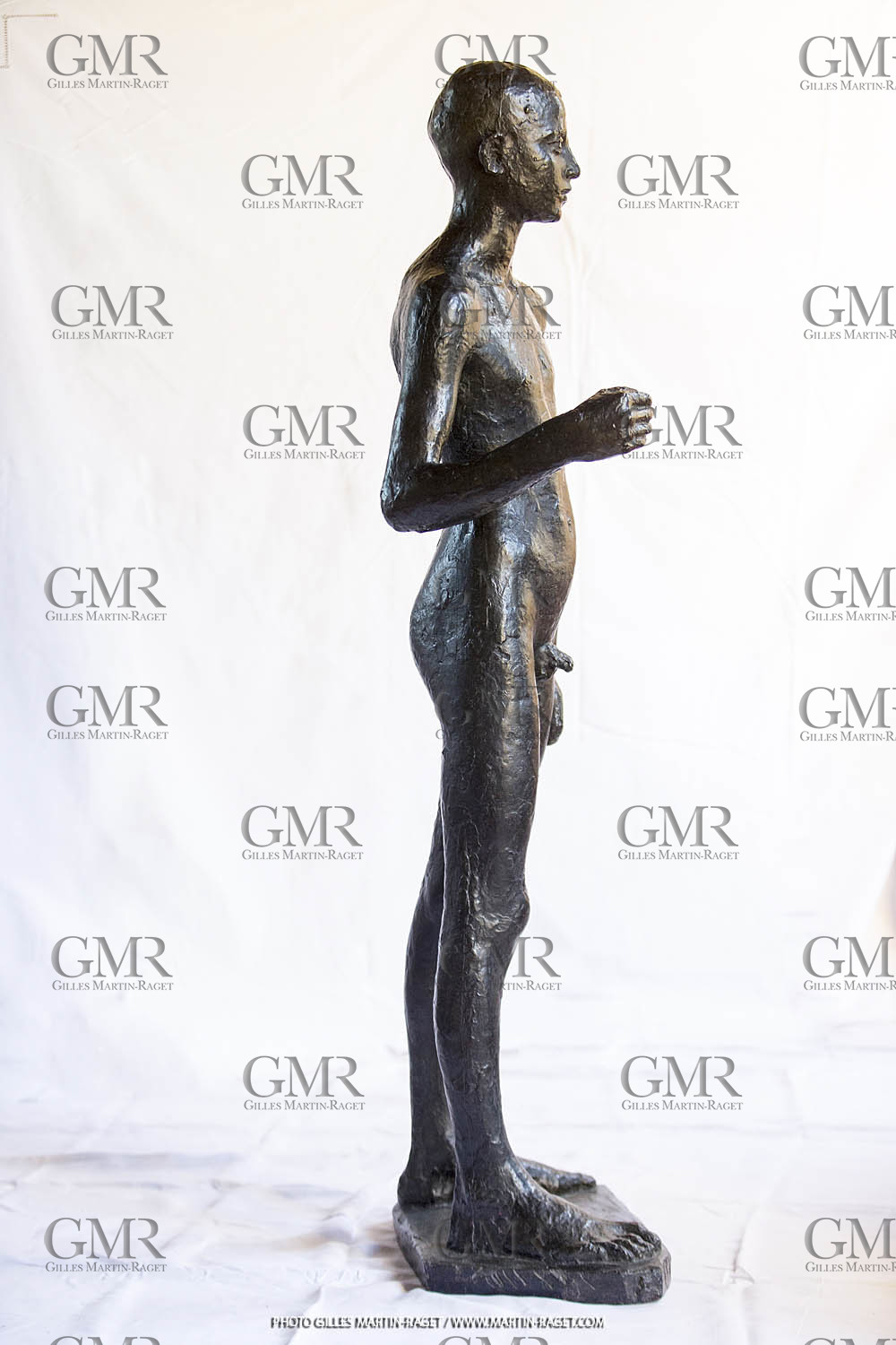 06 03 2016, Saint-Etienne du Grès (FRA,13), Oeuvre de Germaine Richier, Loretto I 1934, Bronze patiné foncé, Numéroté 4 6, fondeur Susse, Paris, 160 x 52 x 35 cm, Collection particulière