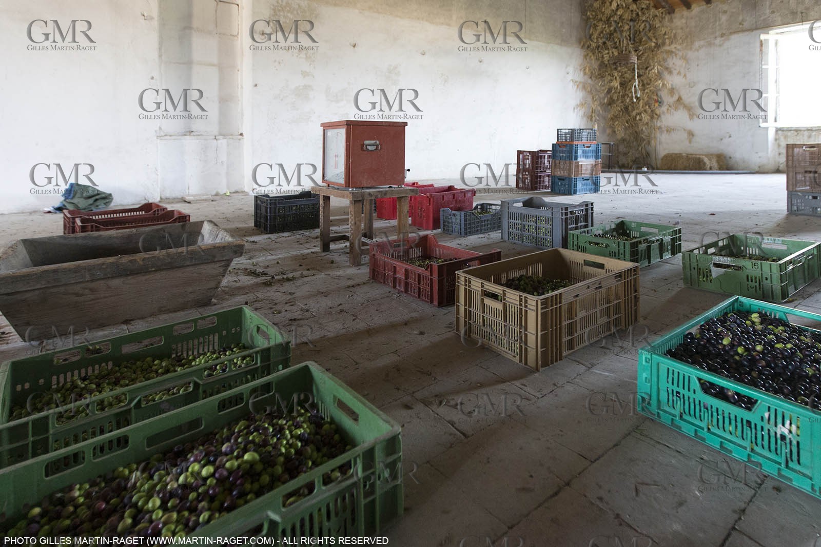 14 11 2015, Saint-Etienne du Grès (FRA,13), fabrication traditionelle de l'huile d'olive au moulin de la Croix