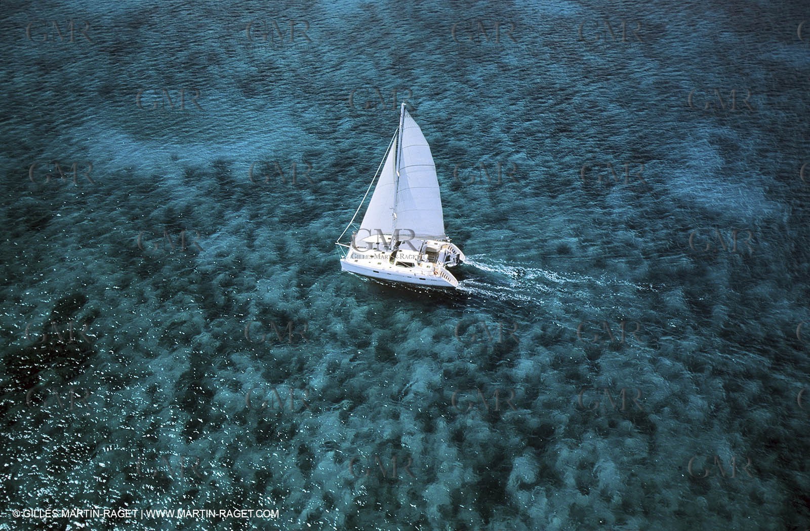 Multicoque sous voile