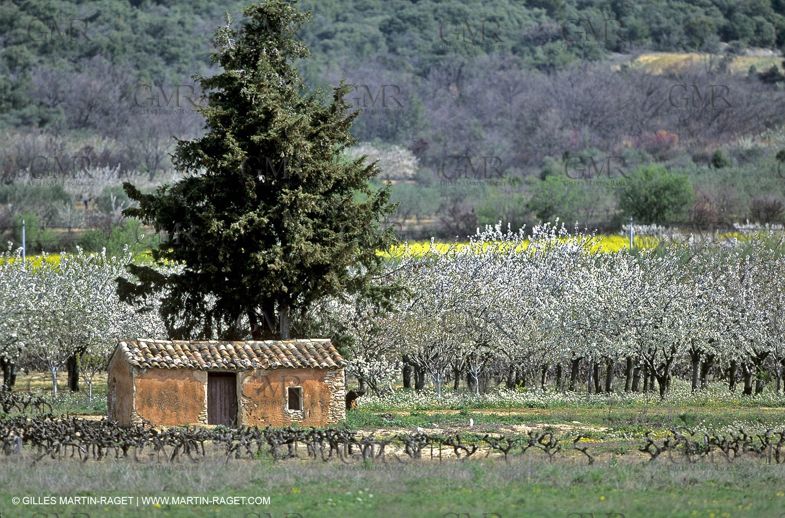 France, Provence, Paysages du Luberon, Luberon Landscapes
