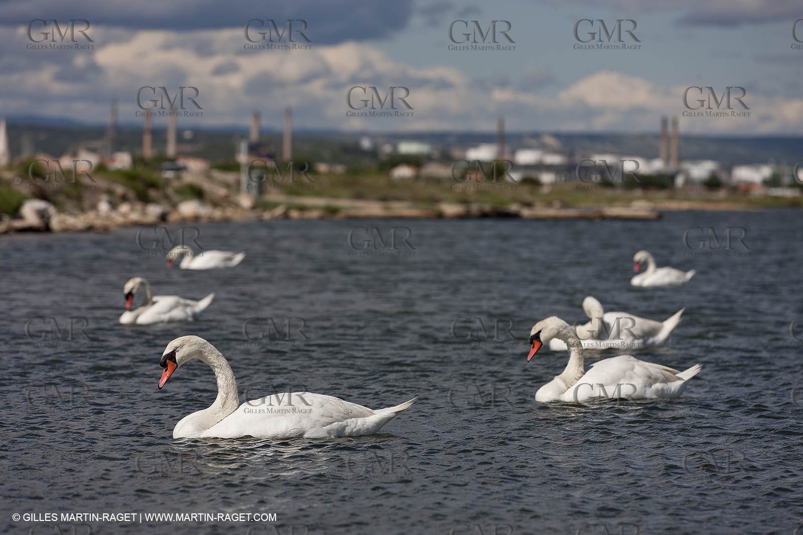 13 06 2012 - Berre l'Etang (FRA,13)